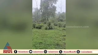 ലഡുവും പഴവുമായി കാട്ടാനയെ ഊട്ടാൻ ചെന്നു; പിന്നെ കണ്ടത് കാട് വഴി ഓട്ടം