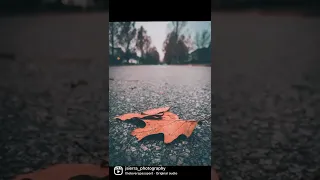 Instagram VS reality, Autumn themed 🍂 🍁