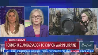 US didn't do enough to help Ukraine in 2014, former ambassador says | Banfield