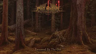 Cân Bardd - Devoured by the Oak (Full Album Premiere)