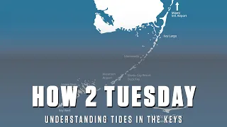 Understanding The Tides In The Keys - Oceanside vs. The Backcountry