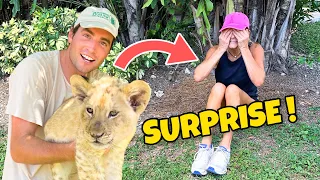 SURPRISING MY MOM WITH BABY LION ! MOTHER'S DAY GIFT !!