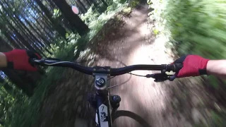 Pov Swan Creek Mtb - major tom