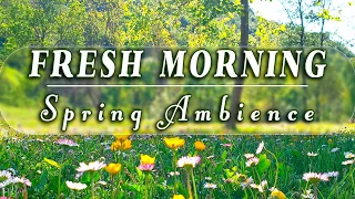 🌿🌞 Begin Your Day with the POSITIVE ENERGY of Healing Spring Sounds 🌻Fresh Morning Meadow Ambience#3