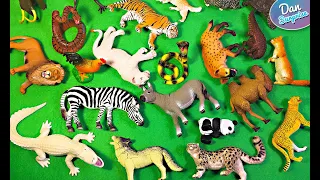 100 Animals Figurines - Lion, Hyena, Zebra, Lion, Tiger, Crocodile, Donkey, Camel, Chicken, Snake