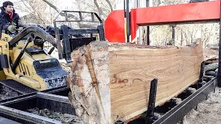 My First Time Sawing Honey Locust