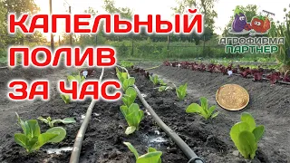 Сделать может каждый| Капельный полив быстро и недорого #огород #дача