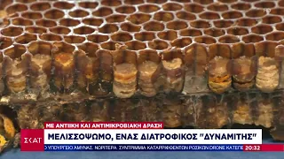 Μελισσόψωμο, ένας διατροφικός "δυναμίτης" | Βραδινό δελτίο | 04/05/2024