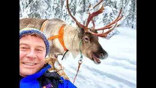 Ia uitați-vă! Am fost într-o călătorie de poveste în țara lui Moș Crăciun, Laponia