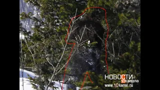 the Russian Bigfoot Caught on Camera video