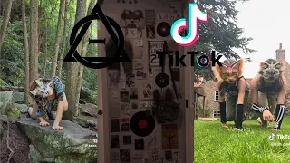 Therian and Quadrobics TikToks || Compilation 🐾🍂 || Alterhumans of TikTok #49