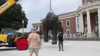 Mammoths moving in at Mayborn Museum with bronze statues