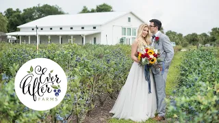 Ever After Farms Blueberry  Barn - East Central Florida's Perfect Wedding Barn