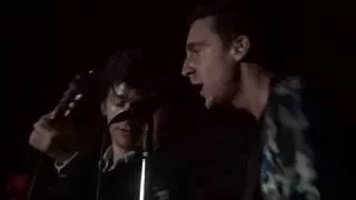 The Last Shadow Puppets - Standing Next To Me ( Berlin, Columbia Halle. 23/08)