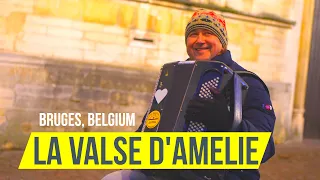 Waltz for Emily accordion cover - La valse d’Amelie by Yann Tiersen #accordionmusic #accordion