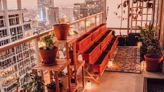 My Balcony Garden Update (More Plants and Decor!) 🌱