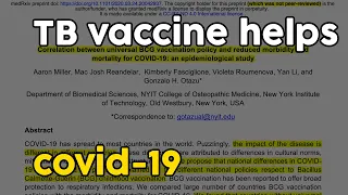 Correlation? BCG vaccine and COVID-19 deaths