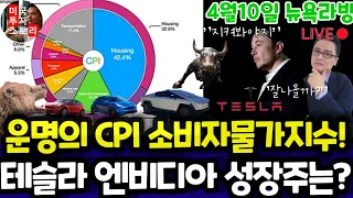 미국주식/CPI소비자물가/전기차 에너지 바이오 인공지능  반도체/테슬라 엔비디아 구글 애플 아마존 메타 마이크로소프트 리비안 소파이 팔란티어 SMCI등 $tsla #tesla