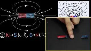 Magnetic field lines (& their properties)