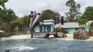 Sea World Orlando 2024