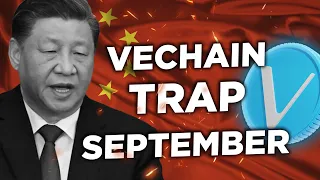 CHINA BETS ON VECHAIN (VET) THIS YEAR!