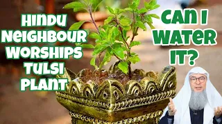 Hindu neighbours worship plants (Tulsi), can I water them or is it shirk? #assim assim al hakeem