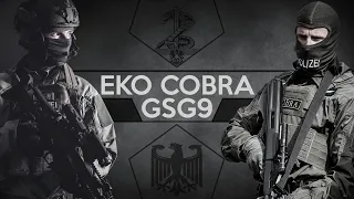 GSG9 & EKO COBRA