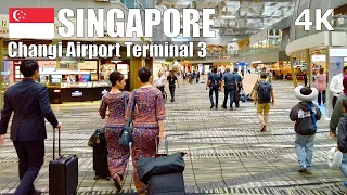 Explore Changi Airport Terminal 3 Transit Area, Singapore 🇸🇬 - Virtual Walk [4K] (▶45 min)