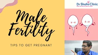 Male Fertility Tips to get Pregnant - FAST