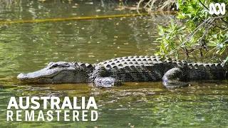 The tender side of crocodiles | Australia Remastered