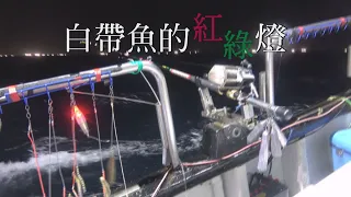 【永續漁業】白帶魚的紅綠燈｜熱銷中國引發過度捕撈疑慮(我們的島  第1031集 2019-11-25)