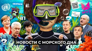 Чё Происходит #91 | Митинги против QR-кодов, Гарри Поттер возвращается, навоз дорожает