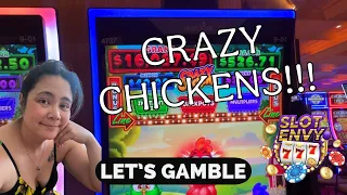 Those Crazy Chickens!! Landed a Double Clucker Bonus!