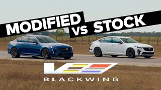 H1000 Blackwing vs. Stock Cadillac CT5-V Blackwing Sedan // Supercharged V8 + Manual Trans