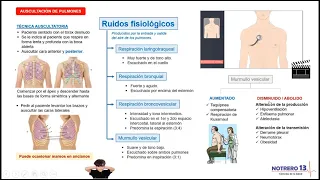 Auscultación de tórax - semiología / notrero13