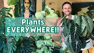 FULL HOUSEPLANT TOUR - have my plants survived the big move?