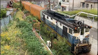 2024年11月10日 北九州～幡生の貨物列車 EH500 ED76  EF210 くろがね線