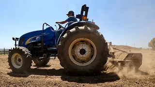 Cleaning the Corral and Answering Your Hay Questions