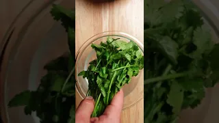 How to Store Cilantro