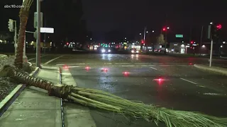 Downed trees in Sacramento causing traffic hazards as high winds continue