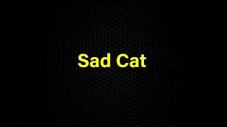 Sad Cat | Sound Effect