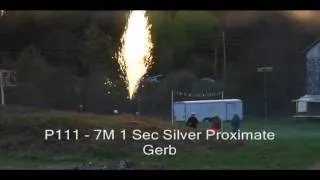 P111 : 1 Second Silver Gerb