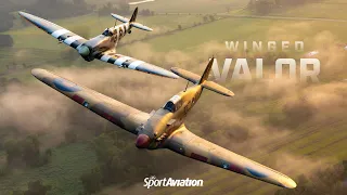 Winged Valor — Warbirds at AirVenture 2021