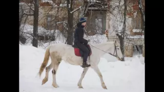 Молчановский Вася