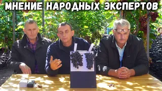 Юпитер или Ютал ? Оценка независимых, народных экспертов!