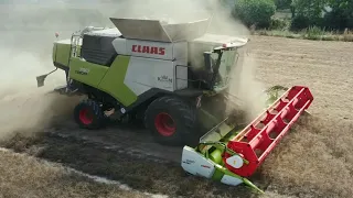 NOWY CLAAS TRION 730! Ekspresowy zbiór grochu w firmie BIOBOR🌾