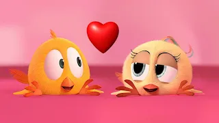 Where's Chicky? 💖 VACATION ROMANCE | Chicky Cartoon in English for Kids