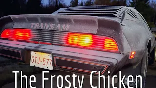 Pontiac Trans Am Cold Start!