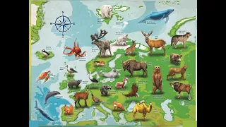 Europa - zonele biogeografice (vegetația,fauna și solurile) lecție de geografie a Europei