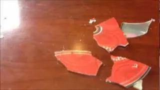 CD Explodes inside Computer